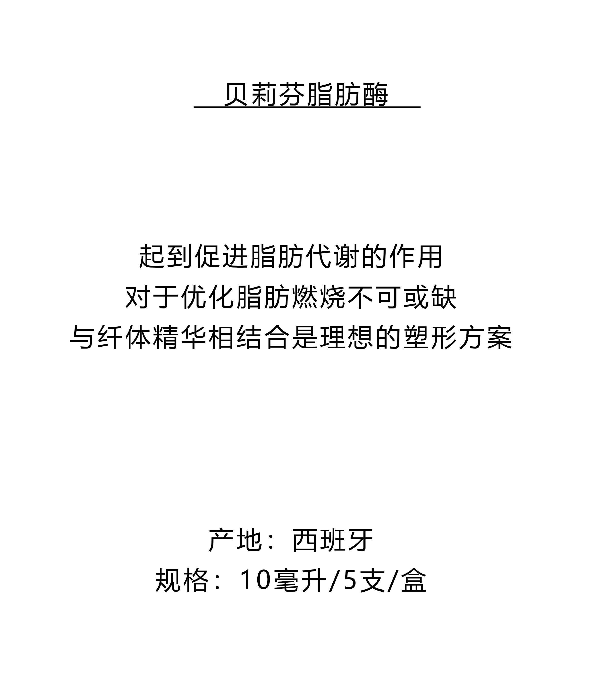 脂肪酶